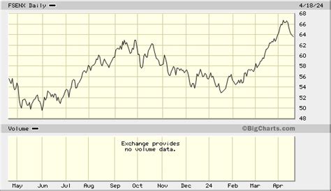 fidelity select energy portfolio|fsenx fact sheet.